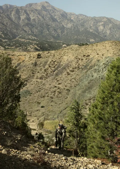 Cavalry patrol