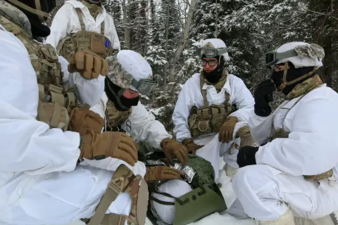MEDEVAC training in Arctic conditions